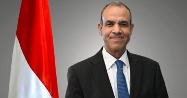 وزير الخارجية يتناول خلال لقاء مع صحيفة نمساوية جهود مصر لخفض التوتر بالمنطقة