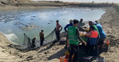 حالات محددة لإنشاء جزر وجسور بالبحيرات وفق القانون.. تعرف عليها