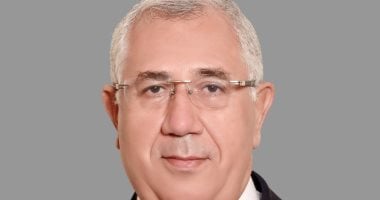 السيد القصير: العلاقات المصرية الإماراتية نموذج للشراكة الاستراتيجية