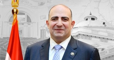 النائب محمد سليم: توجيهات الرئيس السيسي تعزز فرص مصر في الأسواق الأفريقية