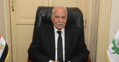 العربي الناصري يثمن الجهود المصرية لاحتواء التوترات الإقليمية