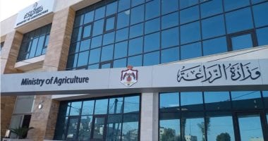 “الزراعة” ترد على فيديو «زيادة وزن الموز»: ادعاءات غير علمية تثير البلبلة