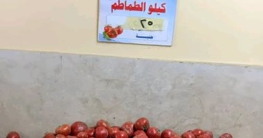 وزارة التموين تطرح الطماطم بـ 23 جنيها للكيلو