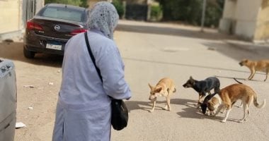 ضوابط وضعها قانون حيازة الحيوانات للترخيص والقيد بالسجل