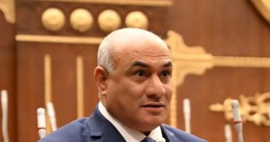 شعبان رأفت: استعراض الرئيس لقدرات الدولة يعكس جاهزية مصر لمواجهة الأزمات