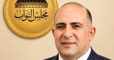 النائب محمد سليم: مصر استعادت ريادتها الإفريقية بعد 30 يونيو