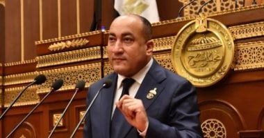 النائب عمرو رشاد: لقاء الرئيس السيسي والشيخ محمد بن زايد يعكس صلابة التحالف