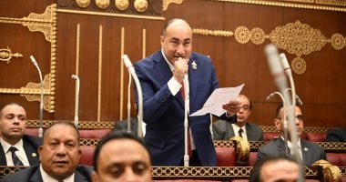 النائب عمرو رشاد: كلمة الرئيس السيسي جسدت رؤية الدولة لاستكمال مسيرة التنمية