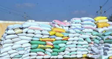 محافظ المنيا: توريد 130% من مستهدف القمح وضبط 44 ألف مخالفة تموينية خلال عام