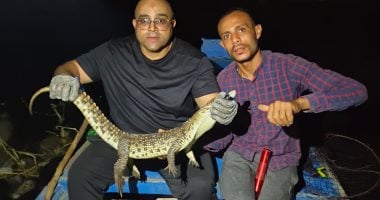 3 حاجات لا تفعلها إذا واجهت تمساحاً أو “ورلاً نيلياً” في مجرى مائي