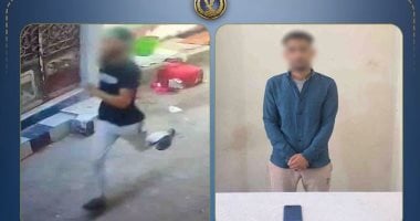 ضبط المتهم بسرقة هاتف سيدة بأسلوب الخطف فى البحيرة.. فيديو
