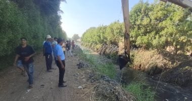 انتهاء أول أيام البحث عن تمساح شبرامنت بالجيزة دون العثور عليه.. تفاصيل