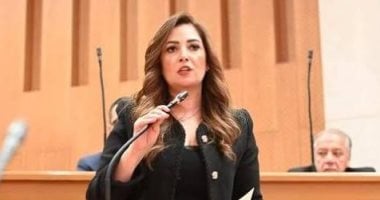 النائبة أميرة العادلى تطالب بحذف مادة الفسخ واستحداث شرطة للأسرة
