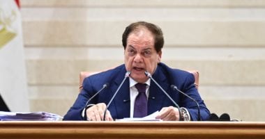 أبو العينين: البرلمان الأوروبى أظهر مسؤولية كبيرة تجاه القضية الفلسطينية