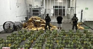 صفقات كوكايين غامضة بين ثمار الفاكهة وأخشاب الأمازون ولعب الأطفال بأمريكا اللاتينية.. قصة العصابات الأكثر جرأة فى تهريب المخدرات من الكاريبى لأفغانستان عبر أوروبا وإسبانيا.. واستغلال القهوة والشوكولاتة للتهريب