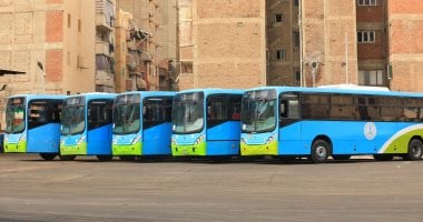 الإسكندرية: خطة استثنائية لنقل الجماهير لمتابعة مباراة مصر والأرجنتين