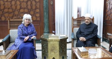 شيخ الأزهر: لا بد من توافق عالمى حول مفهوم حقوق الإنسان