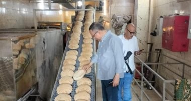 ضبط مصنع عصائر وحلوى مخالف و8.5 طن عينات لحوم ومصنعات دجاج فاسدة بالدقهلية