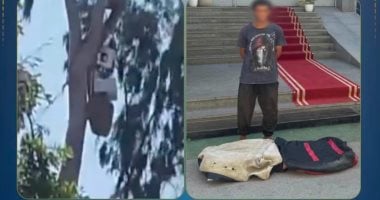 الداخلية تكشف حقيقة إنشاء “عشة بشجرة” لاستغلالها فى تعاطى المخدرات