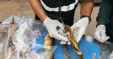 الهيئة القومية لسلامة الغذاء تكثف الرقابة على المنشآت السياحية بمحافظة البحر الأحمر