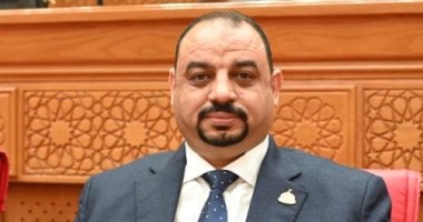 برلمانى: تكريم الرئيس السيسي للمنتخب يؤكد أن الدولة تقدر الإنجاز