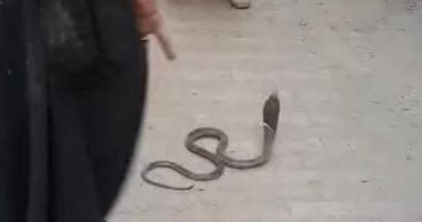 محافظ سوهاج يوجه بفحص شكوى وجود ثعابين داخل مستشفى الصدر