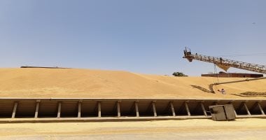 الوصول للسعة التخزينية القصوى بصوامع إدفو وتوزيع الأقماح المحلية على المطاحن