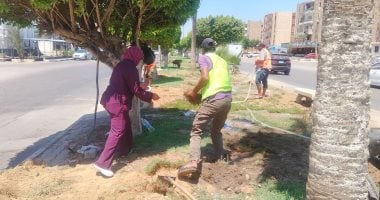 الإسماعيلية تواصل تكويد الأشجار وتجميل الميادين وزراعة شوارع جديدة