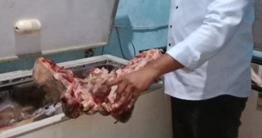 ضبط 1100 كيلو لحوم فاسدة قبل بيعها بالأسواق بمركز المنشأة فى سوهاج