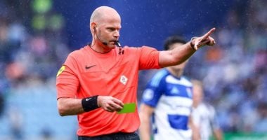 فيفا والاتحاد الهولندى ينعيان الحكم روب ديبرينك بعد وفاته المفاجئة