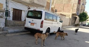 الزراعة: لا قتل جماعى للكلاب الضالة ونعتمد على التطعيم والتعقيم