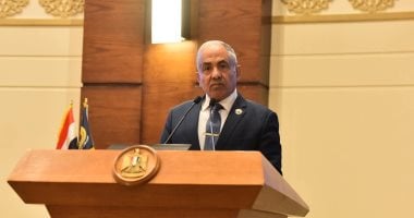 وكيل الشيوخ مشيدا بزيارة الرئيس السيسي لتنزانيا: ترسخ لشراكة استراتيجية