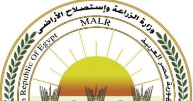 “الزراعة” ترد على فيديو زيادة وزن الموز: ادعاءات غير علمية تثير البلبلة