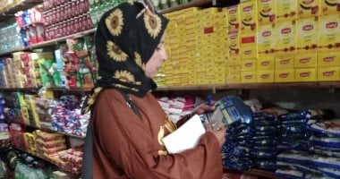 ضبط 17 أسطوانة بوتاجاز بدون تصريح وتحرير 59 مخالفة تموينية بالإسماعيلية
