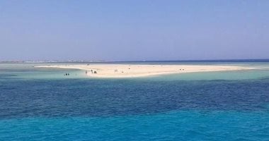 توبيا البيضاء فى سفاجا.. جزيرة ساحرة تتلألأ بمياه فيروزية ورمال ناصعة وسط البحر الأحمر.. بجانبها شعاب مرجانية وكائنات بحرية نادرة.. ووجهة مفضلة لعشاق الغوص والسنوركلنج والاستجمام وملاذ هادئ لزوار سوما باى.. صور