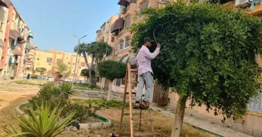 بورسعيد تُوسّع رقعتها الخضراء.. تنفيذ مبادرة 100 مليون شجرة في كل الأحياء بالمحافظة
