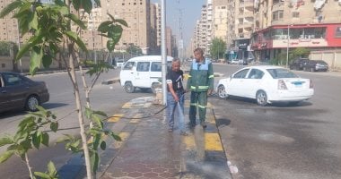 رفع مستوى النظافة بشارع ترسا وزراعة الجزيرة الوسطى بـ”العامل الأول” بالجيزة