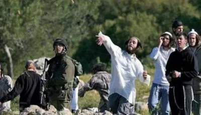 مستوطنون إسرائيليون يبدأون في احتلال منازل الفلسطينيين بـ «جالود»