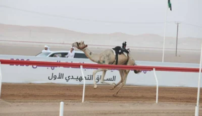 «قزوين» تتصدر الحول والزمول في ختام تمهيدي مهرجان العين