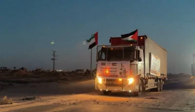 لمواجهة انتشار الحشرات.. الإمارات تدخل شاحنة مبيدات إلى غزة