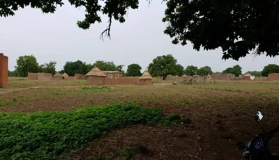 دراسة في «نيويورك أبوظبي» تكشف طريقة جديدة لمكافحة مرض الملاريا