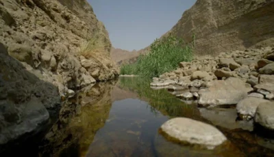 إدراج محمية وادي الوريعة في الفجيرة على قائمة اليونسكو