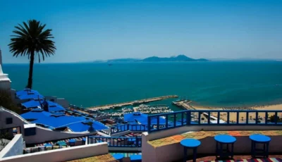 إدراج قرية سيدي بوسعيد على قائمة التراث العالمي لليونيسكو