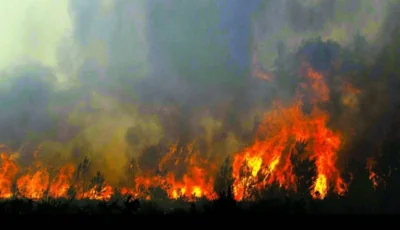 حرائق فرنسا وإسبانيا خارج السيطرة