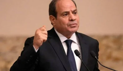 السيسي: الجهات المعنية تباشر تحقيقات استهداف سفينتي ميناء دمياط
