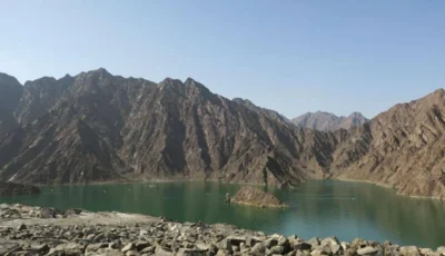 محمية حتا الجبلية.. تنوع بيولوجي فريد وجهود مستدامة لحماية البيئة