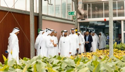 دبي تطلق مبادرة «مُزارع الفريج» الرقمية